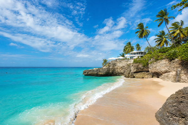 A tranquil Barbados beach with turquoise sea, coconut palms and sunbathers.