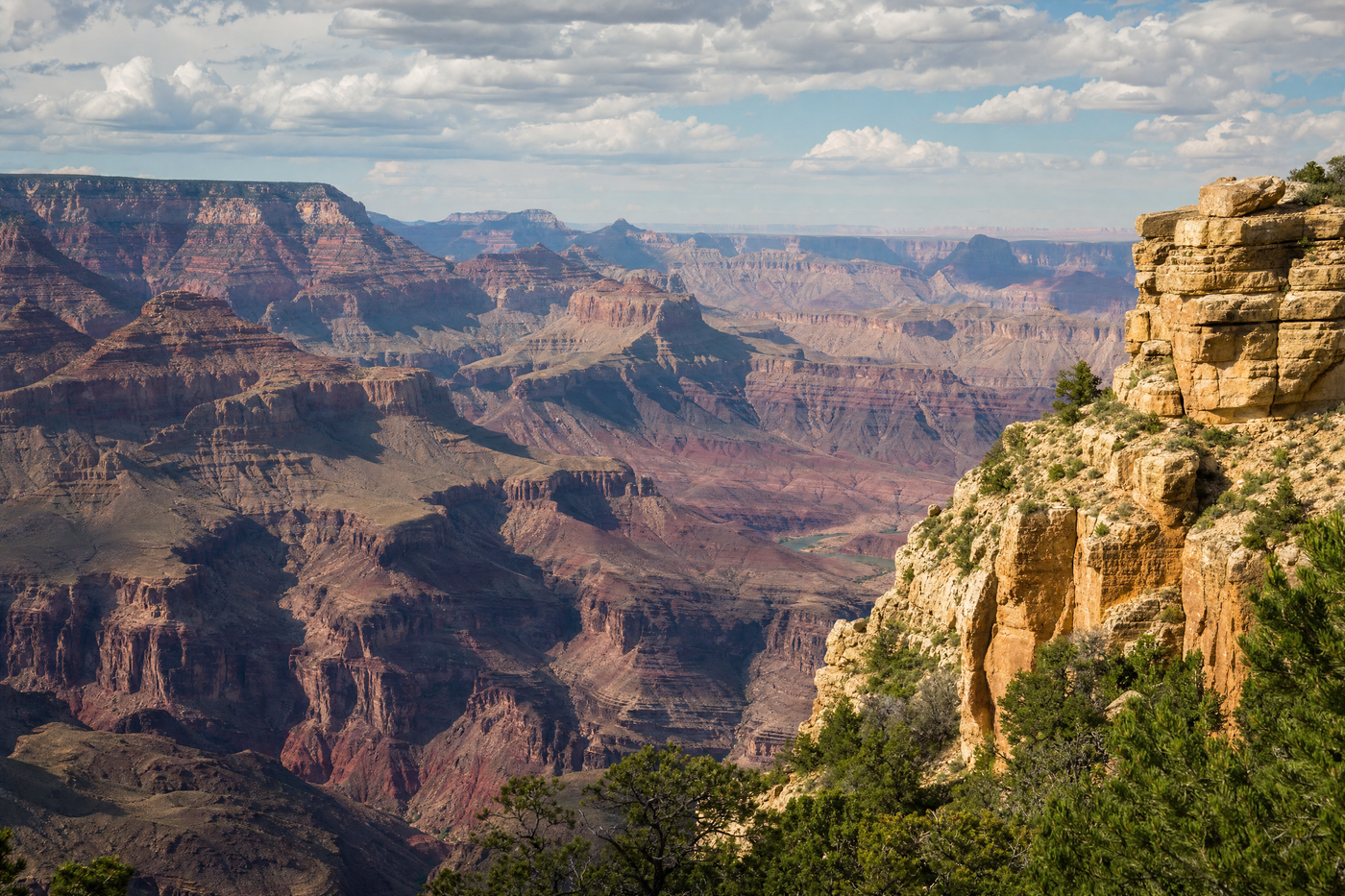 Grand Canyon panoramic view under clear blue skies with seasonal scenery