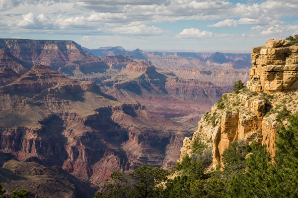 Grand Canyon panoramic view under clear blue skies with seasonal scenery