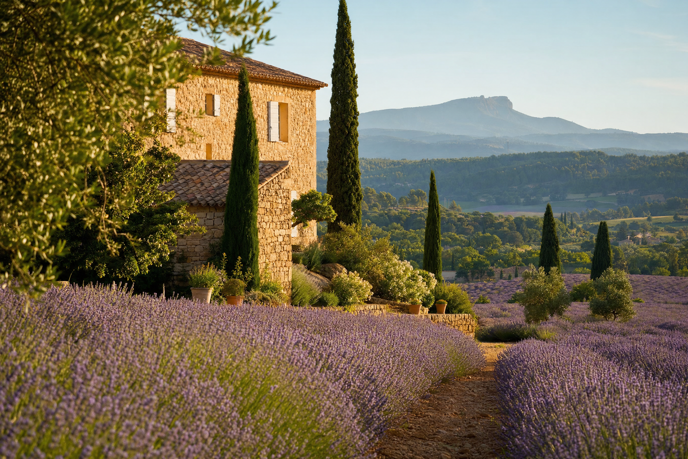 Lavender fields and stone village in Provence, France on a sunny day