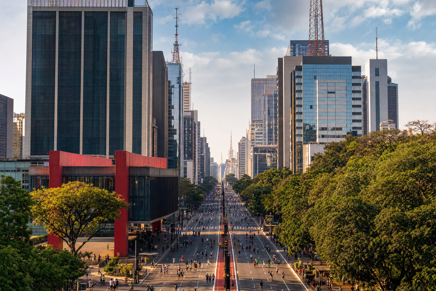 Aerial view of São Paulo skyline and Ibirapuera Park on a clear day