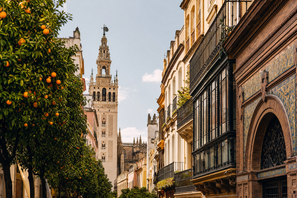 Panoramic view of Seville's historic center at sunset