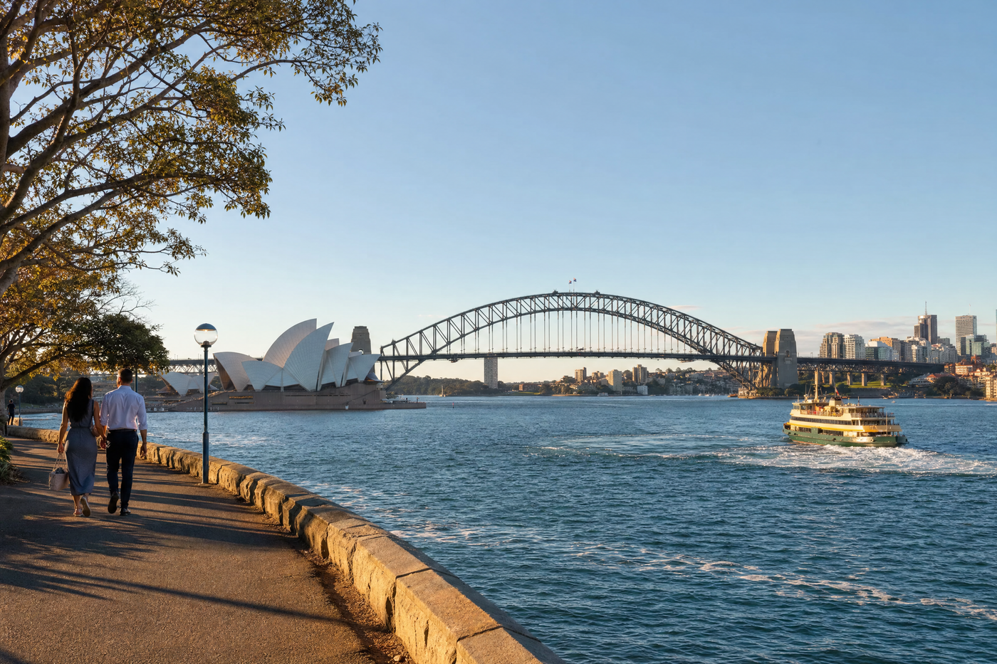 Sydney Opera House and Harbour Bridge viewed from a public park on a sunny day