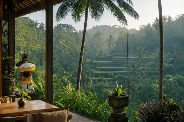 Ubud rice terraces with palm trees and morning mist