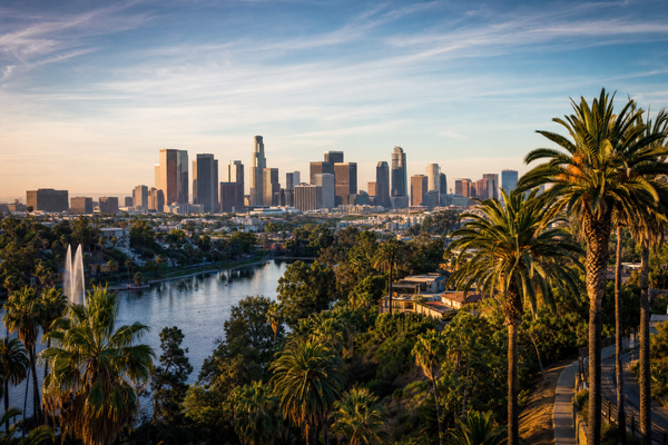 Downtown Los Angeles skyline with hotels, palm trees and sunset light