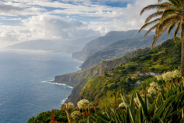 A panoramic view of Funchal and Madeira’s coastline at sunset, dotted with neighborhoods and hotels