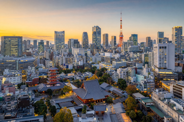 Tokyo city skyline with diverse neighborhoods at sunset